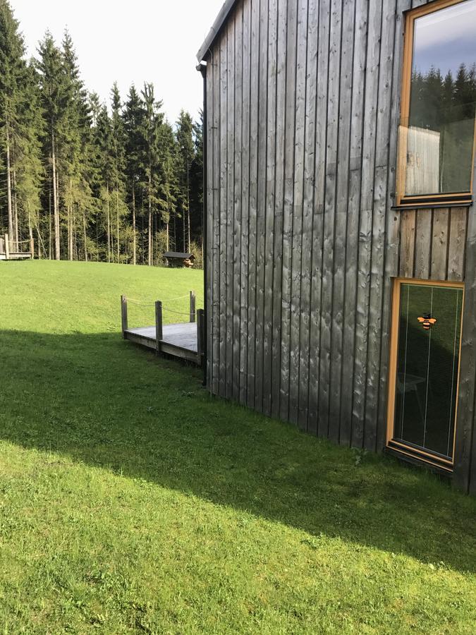 Chalet6Harrachov Se Saunou Eksteriør bilde